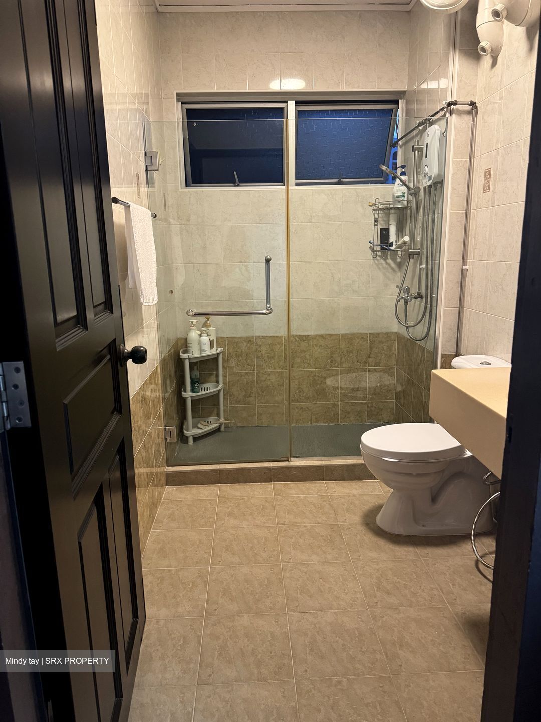 Mandalay Mansion (D11), Apartment #524566061
